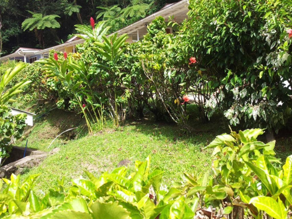 Chez Ophelia Cottage Apartments روسو الغرفة الصورة